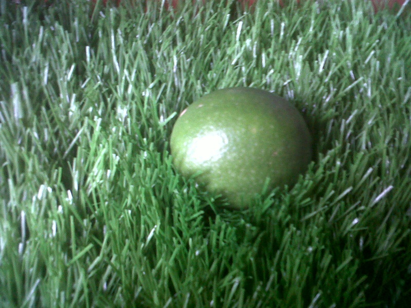 grama limon